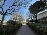 IMG-20250410-WA0043