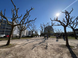 IMG-20250411-WA0004
