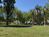 IMG_1402