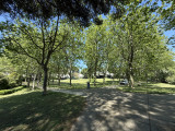 IMG_1279