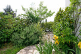 Vue été
