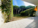 Vue