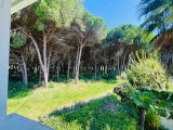 Vue été