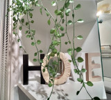 _lv_images__lot_0000004044_04_3231029