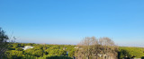 _lv_images__lot_0000004171_04_2972115
