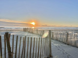 _lv_images__lot_0000004185_10_2484280
