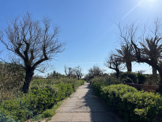 IMG-20250410-WA0044 IMG-20250410-WA0044