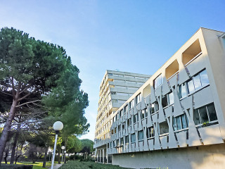 96539-1-591741-1359716044.jpg 96539-1-591741-1359716044.jpg