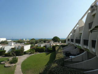 _clients_193428001_photos_101a_3491393 _clients_193428001_photos_101a_3491393