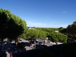 _clients_193428001_photos_15c_3180074