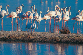 _clients_193428001_photos_181n_4098197 _clients_193428001_photos_181n_4098197