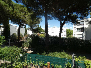 _clients_193428001_photos_204i_3261093 _clients_193428001_photos_204i_3261093