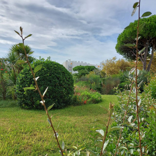 _clients_193428001_photos_210a_3066579 _clients_193428001_photos_210a_3066579