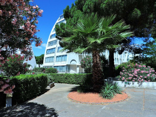 _clients_193428001_photos_215a_3551421