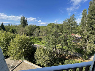 _clients_193428001_photos_247k_3602997