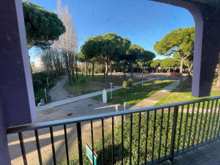 _clients_193428001_photos_252h_3117737 _clients_193428001_photos_252h_3117737