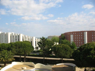 _clients_193428001_photos_31b_3696852