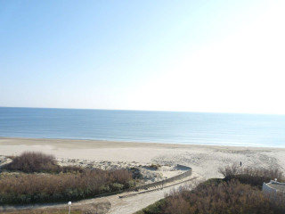 _clients_193428001_photos_37a_3595272 _clients_193428001_photos_37a_3595272