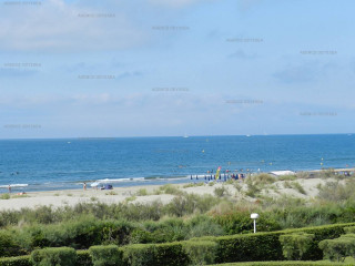 _clients_193428005_photos_126q_3697419