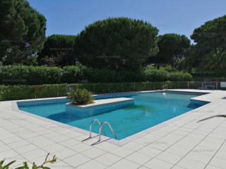 _clients_193428005_photos_160p_3393936