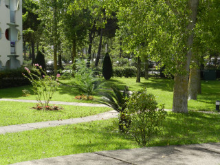 _clients_193428005_photos_166k_3421526