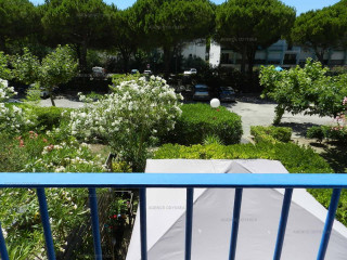 _clients_193428005_photos_181g_3724448