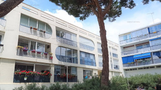 _clients_193428005_photos_186k_3229805 _clients_193428005_photos_186k_3229805