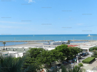 _clients_193428005_photos_199m_3237988 _clients_193428005_photos_199m_3237988