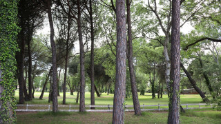 _clients_193428005_photos_206i_3382291