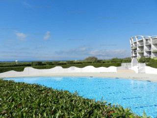 _clients_193428005_photos_86g_3647947