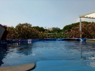 _clients_193428006_photos_83a_3248523