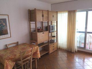 _clients_193428007_photos_11g_3173043 _clients_193428007_photos_11g_3173043