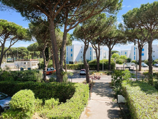 _clients_193428007_photos_130i_3043456 _clients_193428007_photos_130i_3043456