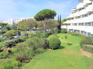 _clients_193428007_photos_13n_3314576