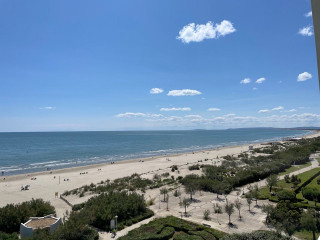 _clients_193428007_photos_17g_4134183 _clients_193428007_photos_17g_4134183