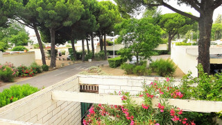 _clients_193428007_photos_23h_3724270