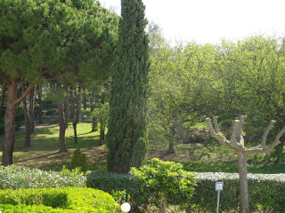 _clients_193428008_photos_211a_3563889