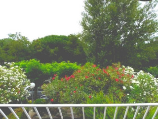 _clients_193428008_photos_241a_3669901 _clients_193428008_photos_241a_3669901