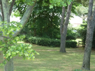 _clients_193428012_photos_12g_3227367 _clients_193428012_photos_12g_3227367