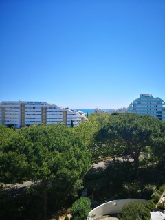 _clients_193428012_photos_131j_3227393 _clients_193428012_photos_131j_3227393