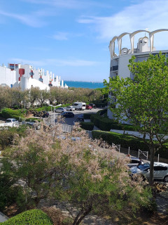 _clients_193428012_photos_195h_3689055 _clients_193428012_photos_195h_3689055