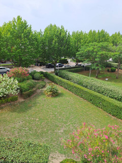 _clients_193428012_photos_202f_3450935 _clients_193428012_photos_202f_3450935