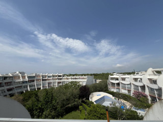 _clients_193428012_photos_221g_3689178 _clients_193428012_photos_221g_3689178