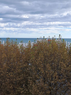 _clients_193428012_photos_228e_3089512 _clients_193428012_photos_228e_3089512