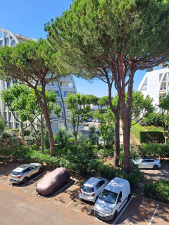 _clients_193428012_photos_247g_4105324