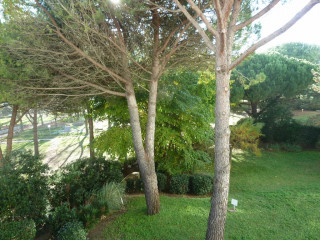 _clients_193428012_photos_65a_3443261