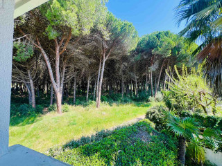 Vue été