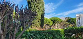 _lv_images__lot_0000004012_07_3561761