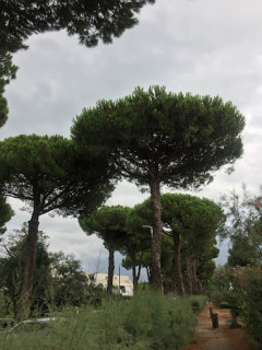 _lv_images__lot_0000004014_08_3557756