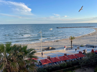 _lv_images__lot_0000004113_09_3048779